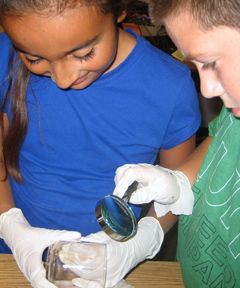 students examining an object